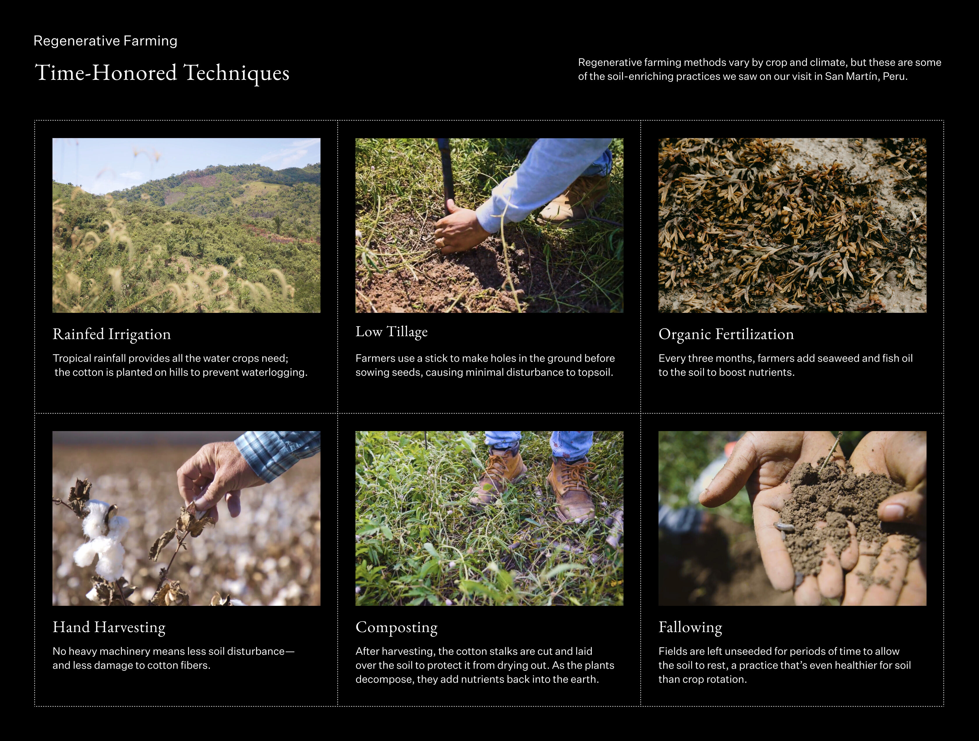 Regenerative Farming: Time-Honored Techniques Regenerative Farming: Time-Honored Techniques