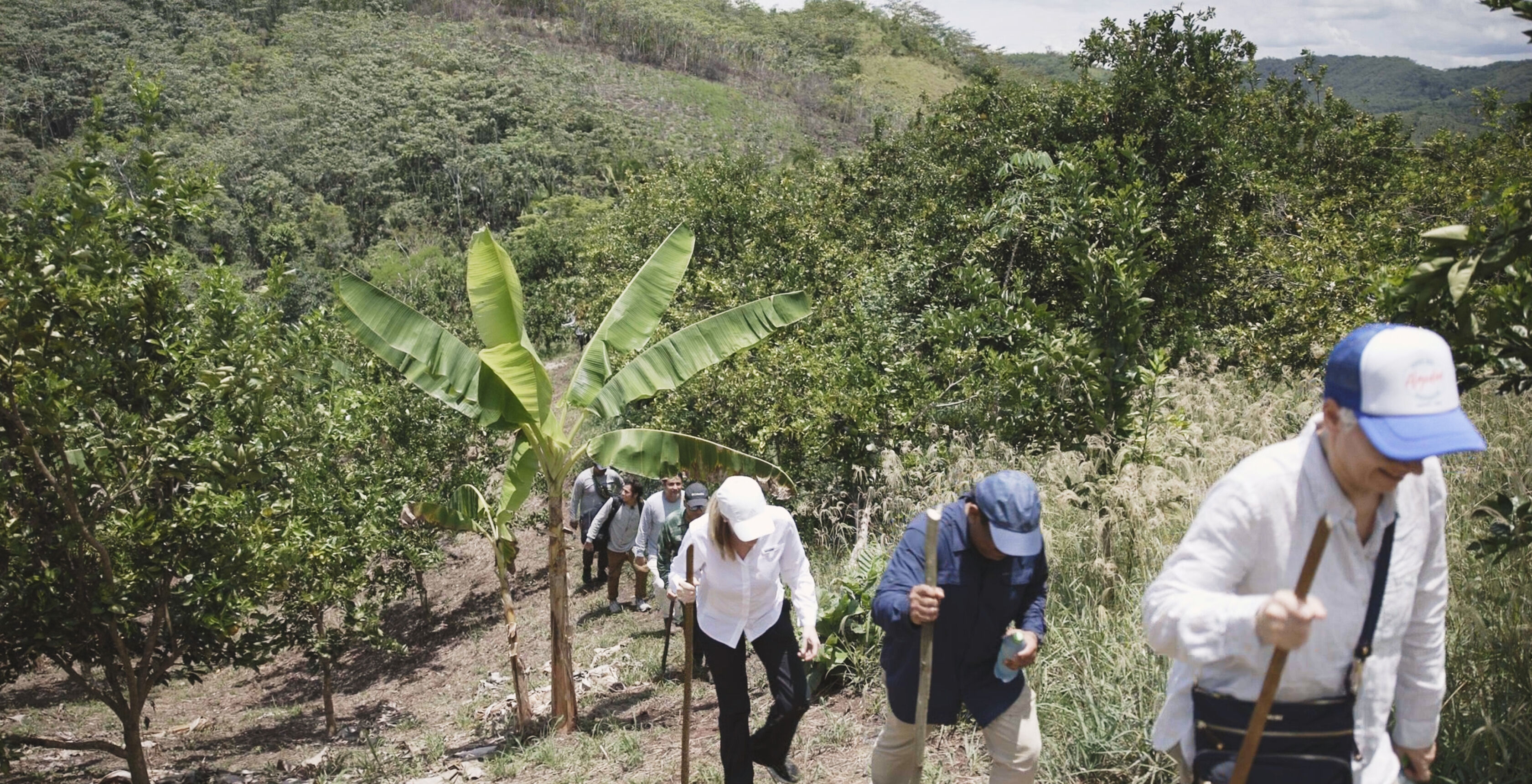 EILEEN FISHER team members climbing a hill in Peru. EILEEN FISHER team members climbing a hill in Peru.