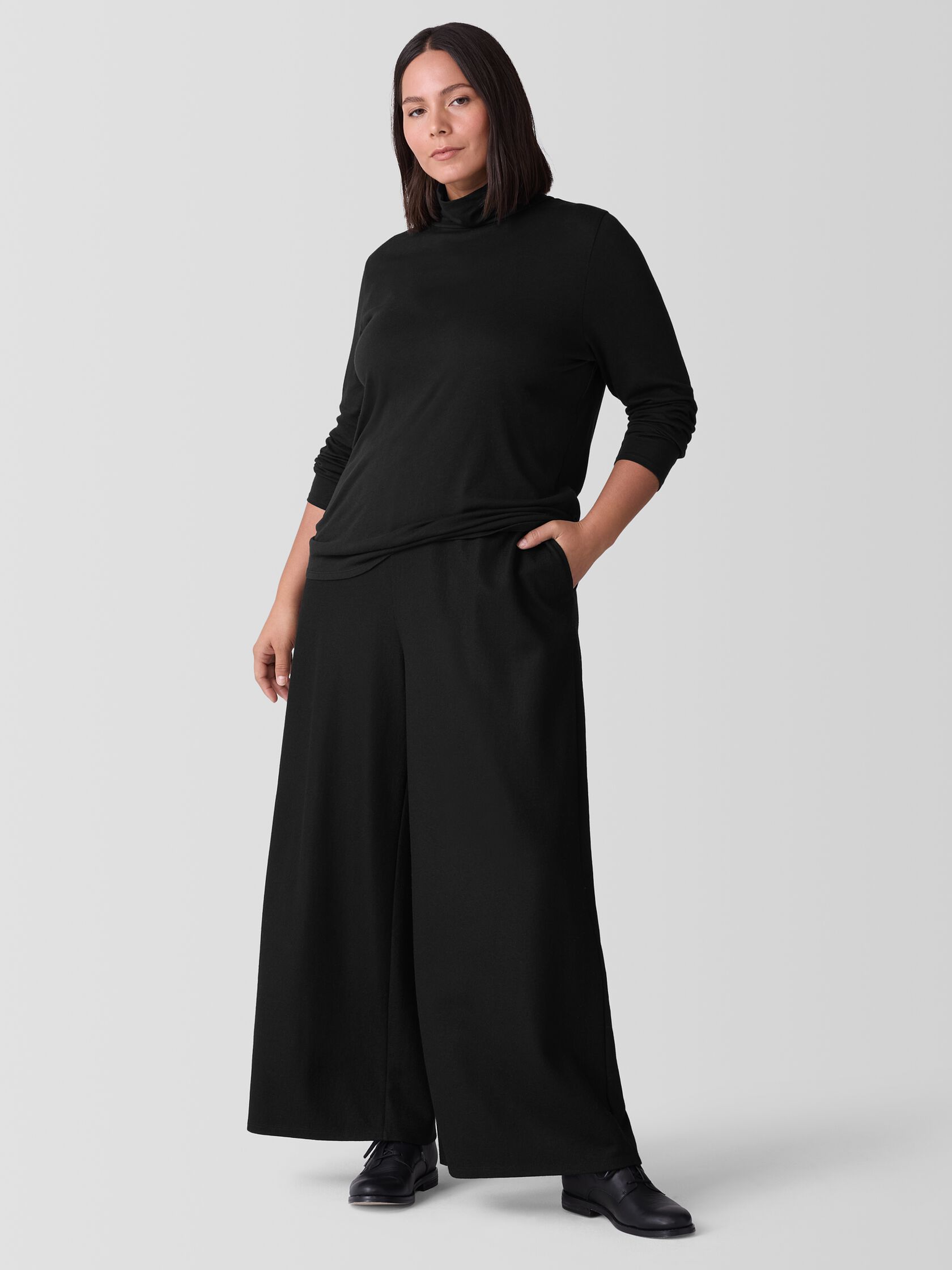 Sheer Knit Turtleneck Top