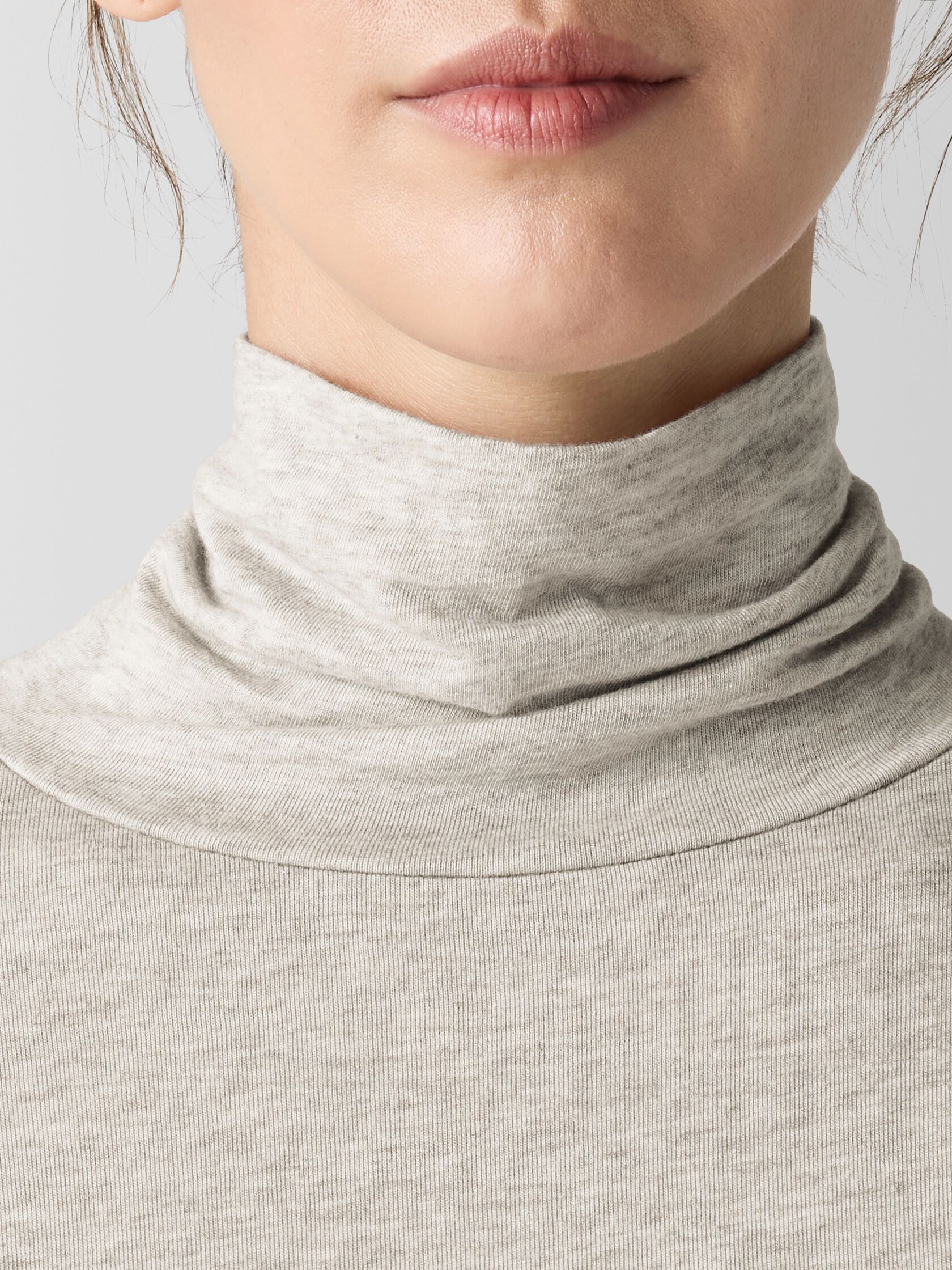 Sheer Knit Turtleneck Top