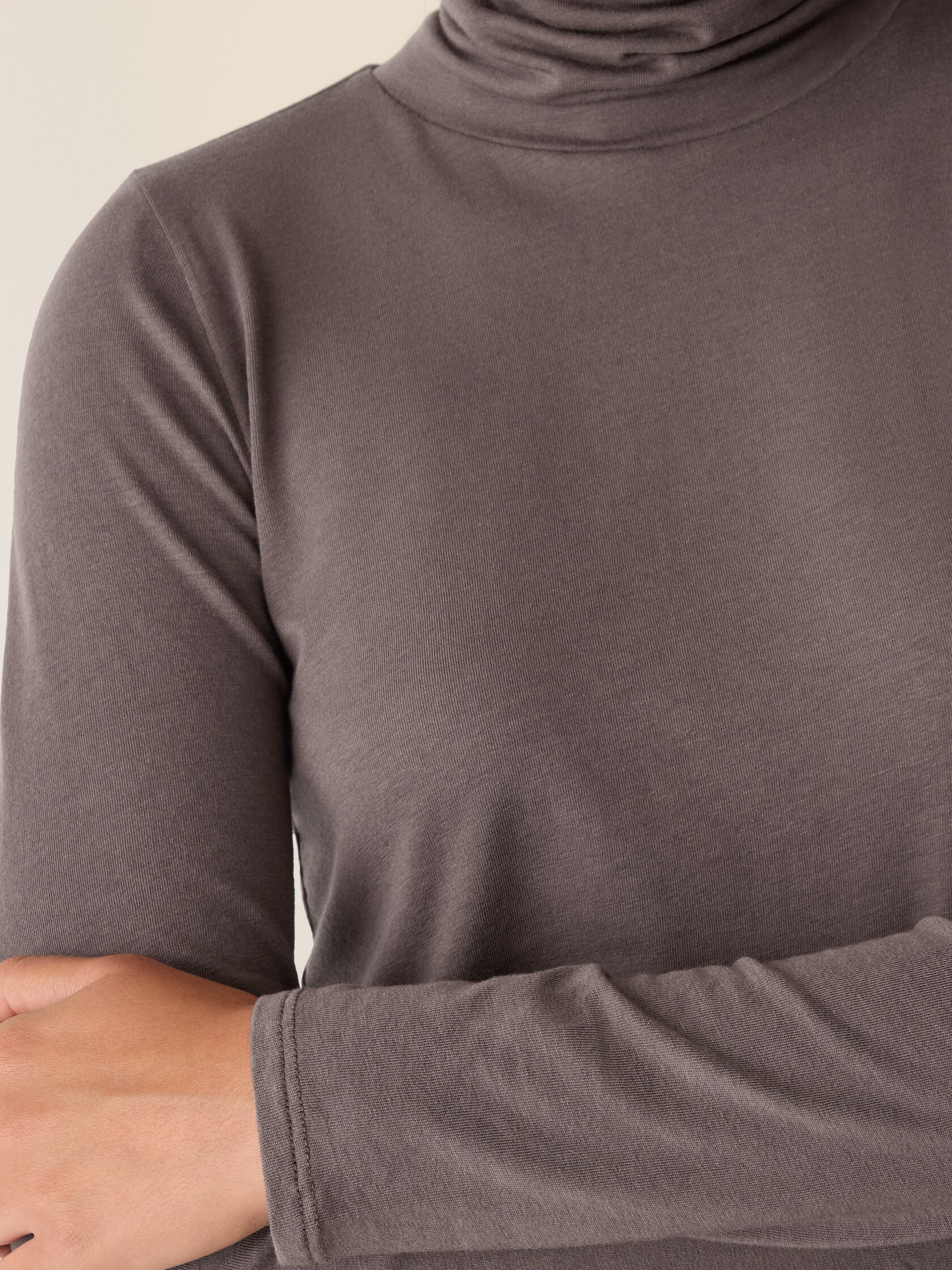 Sheer Cotton Blend Knit Turtleneck Top
