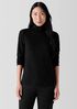 Sheer Knit Turtleneck Top