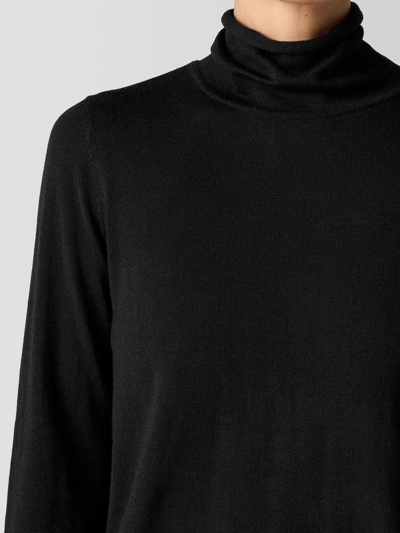 Fine Merino Turtleneck Top in Regenerative Wool