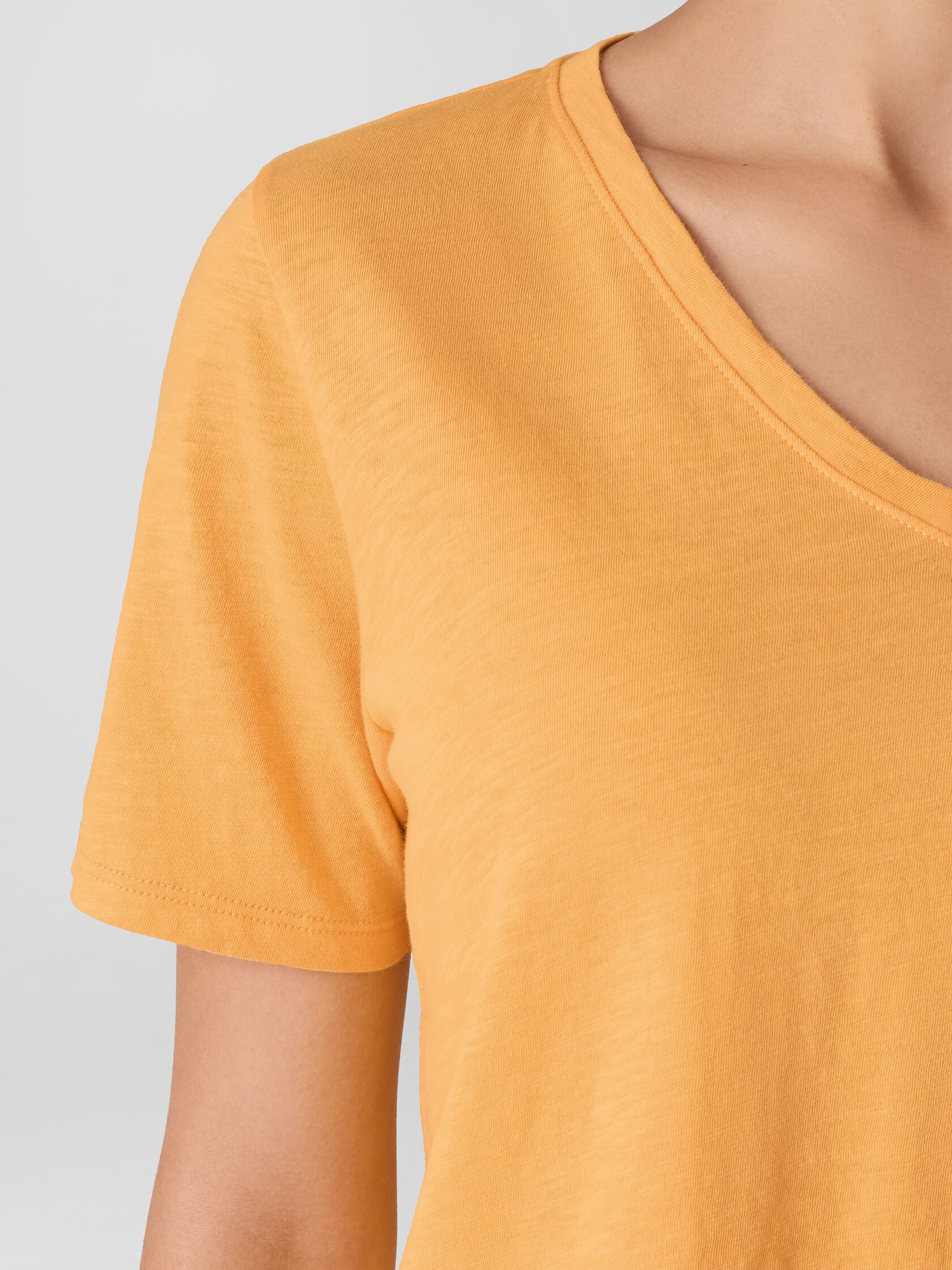 Organic Cotton Slubby Jersey V-Neck Tee