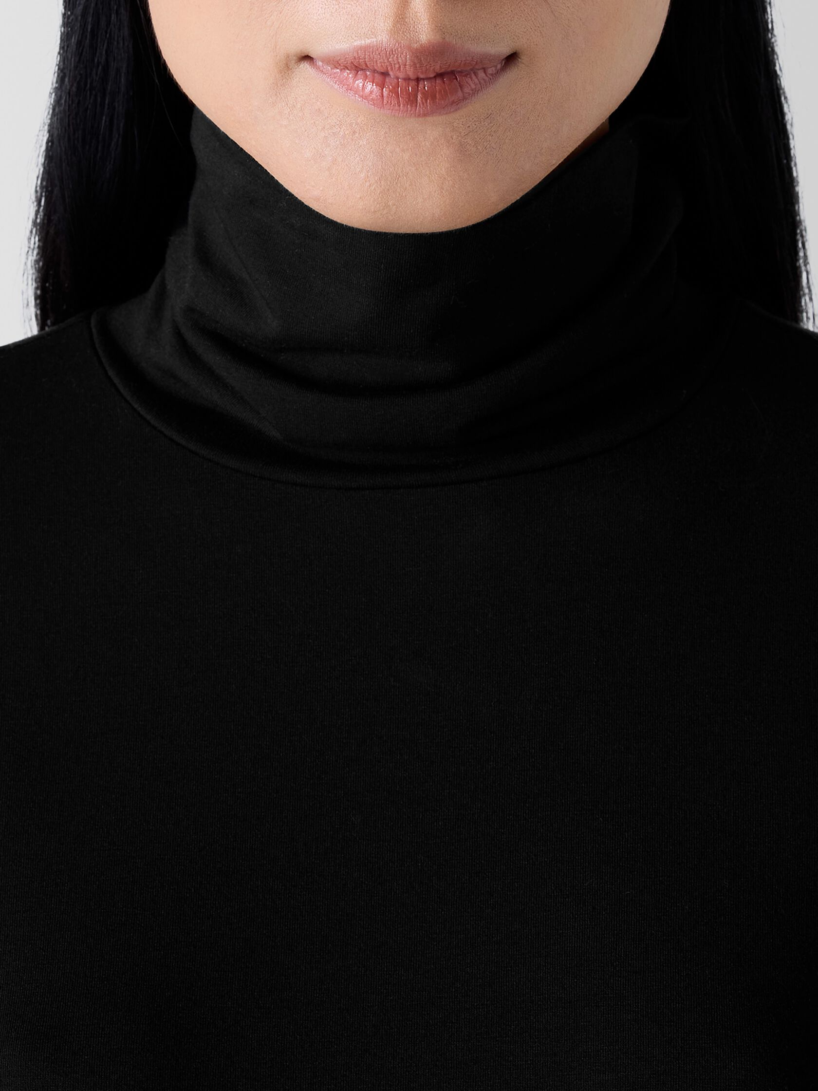 Sheer Knit Turtleneck Top