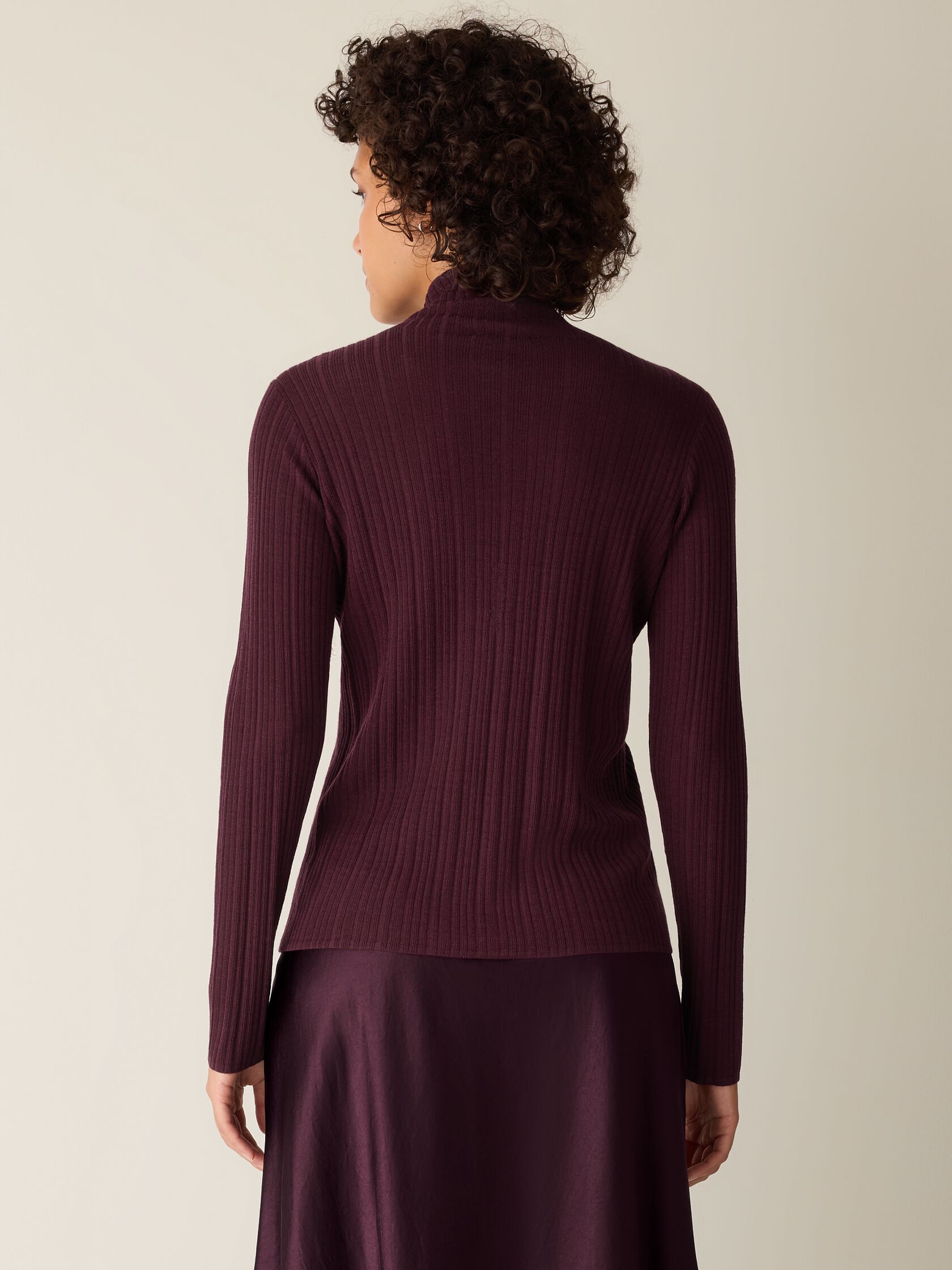 Superfine Merino Turtleneck Top in Regenerative Wool
